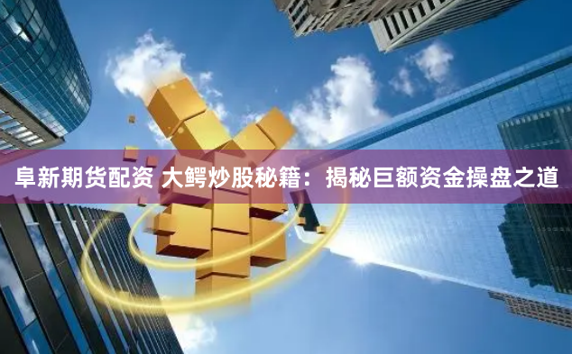 阜新期货配资 大鳄炒股秘籍：揭秘巨额资金操盘之道